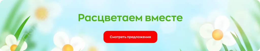 Специальное предложение